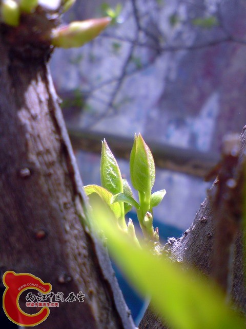 P050410_12.58.jpg