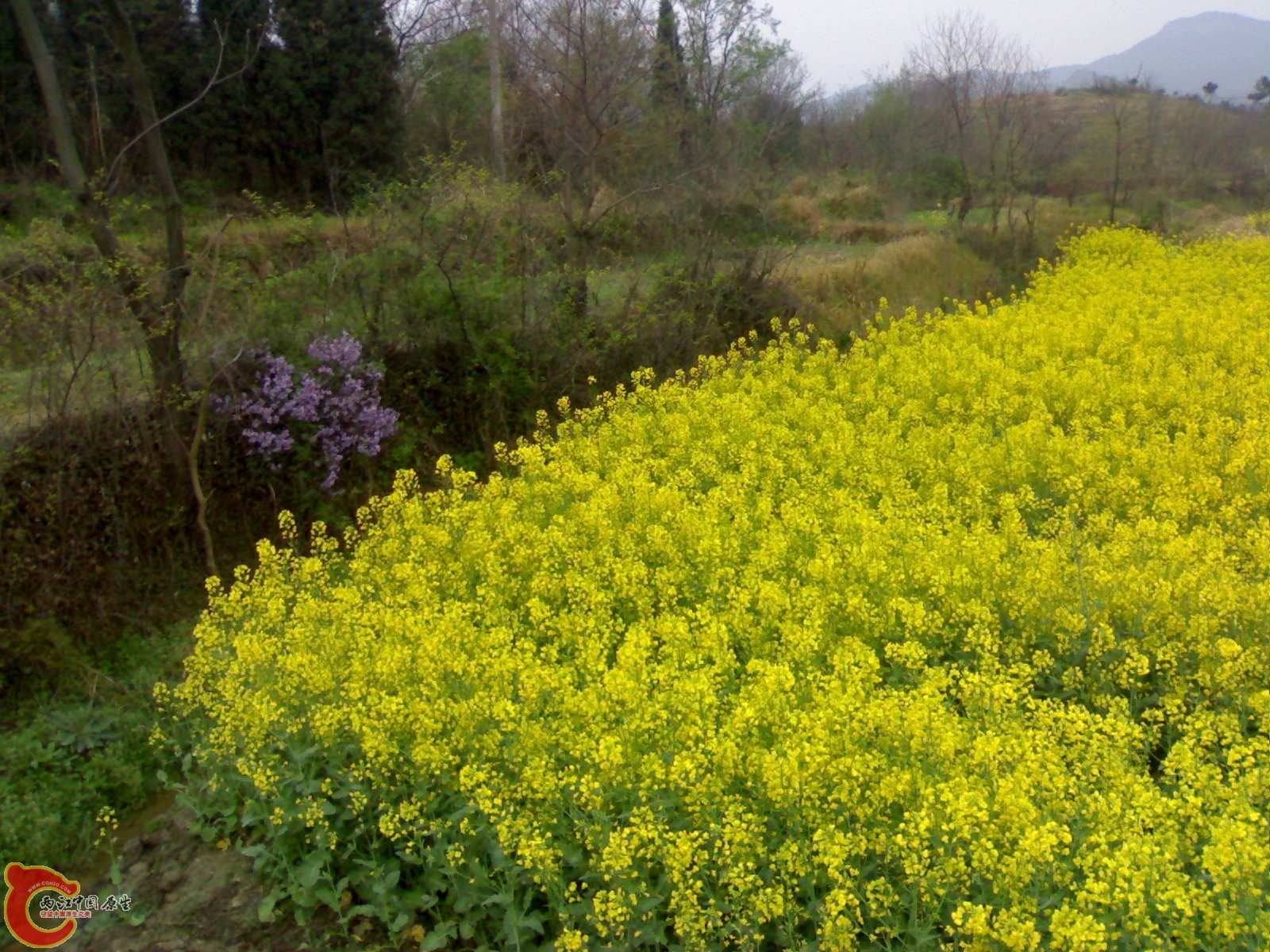 20100404141.jpg