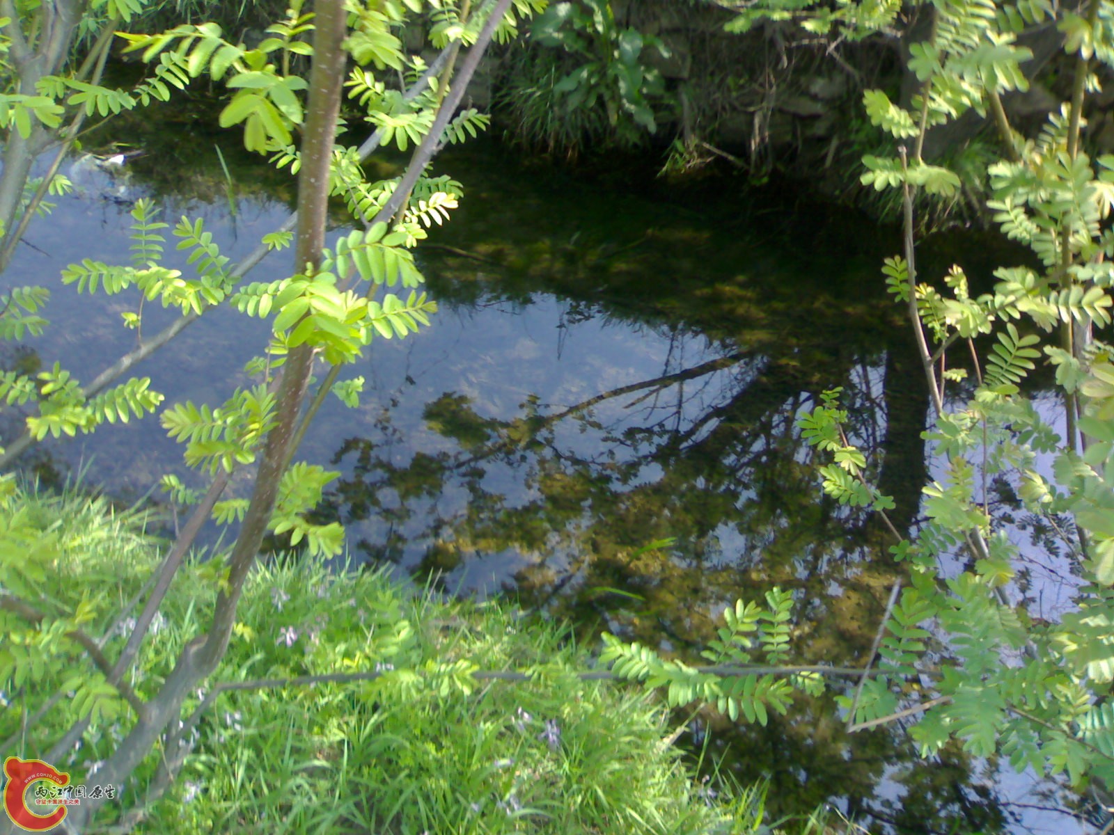 20100404180.jpg