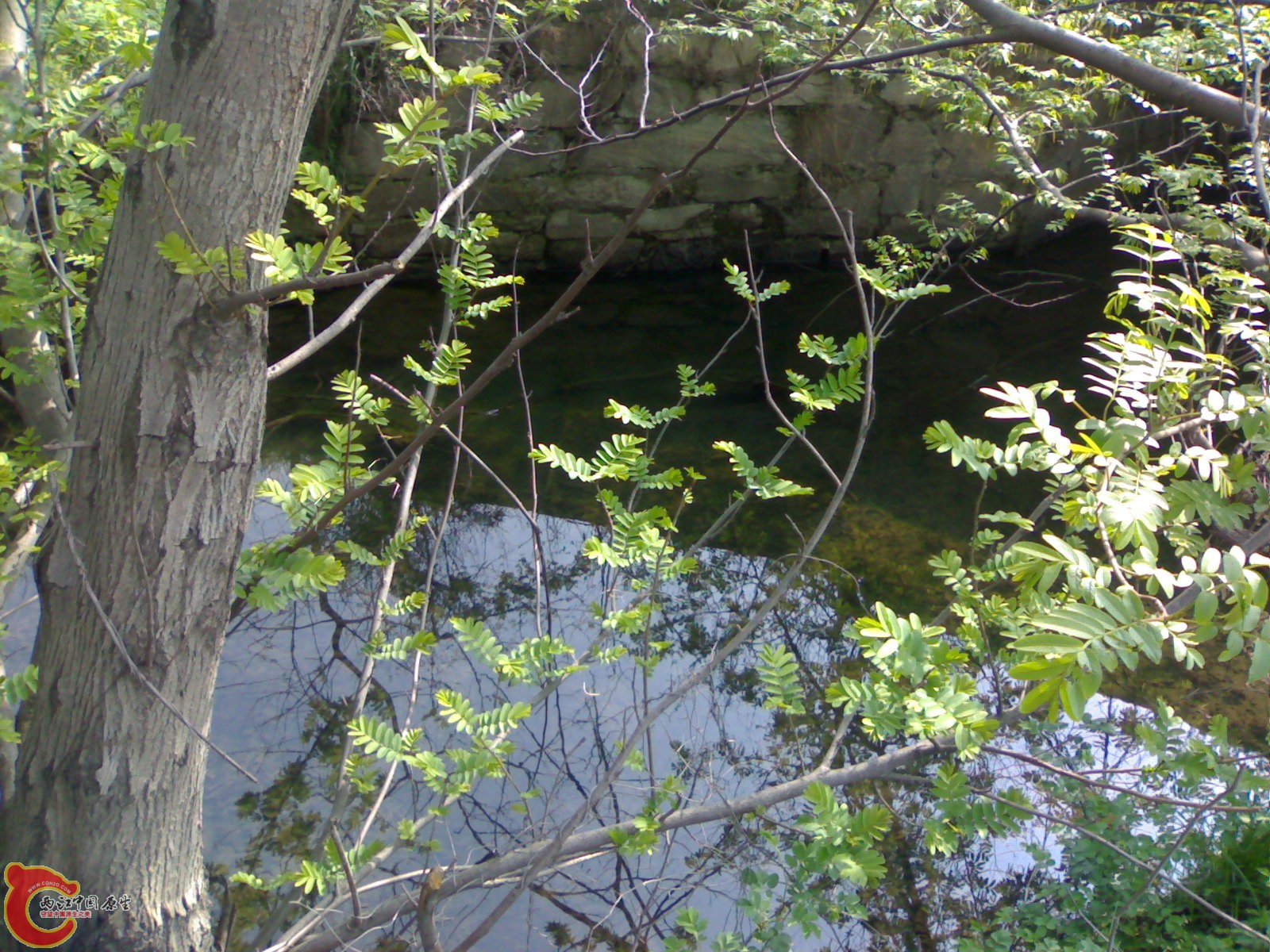 20100404179.jpg