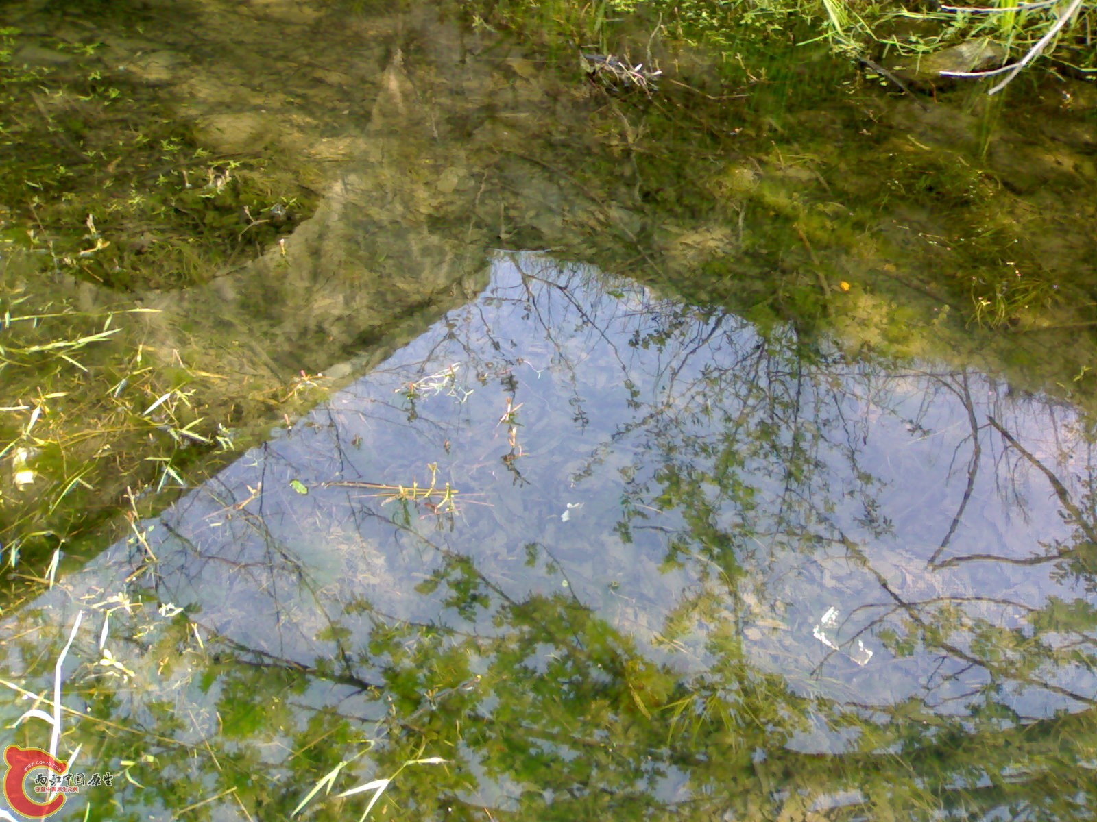20100404178.jpg
