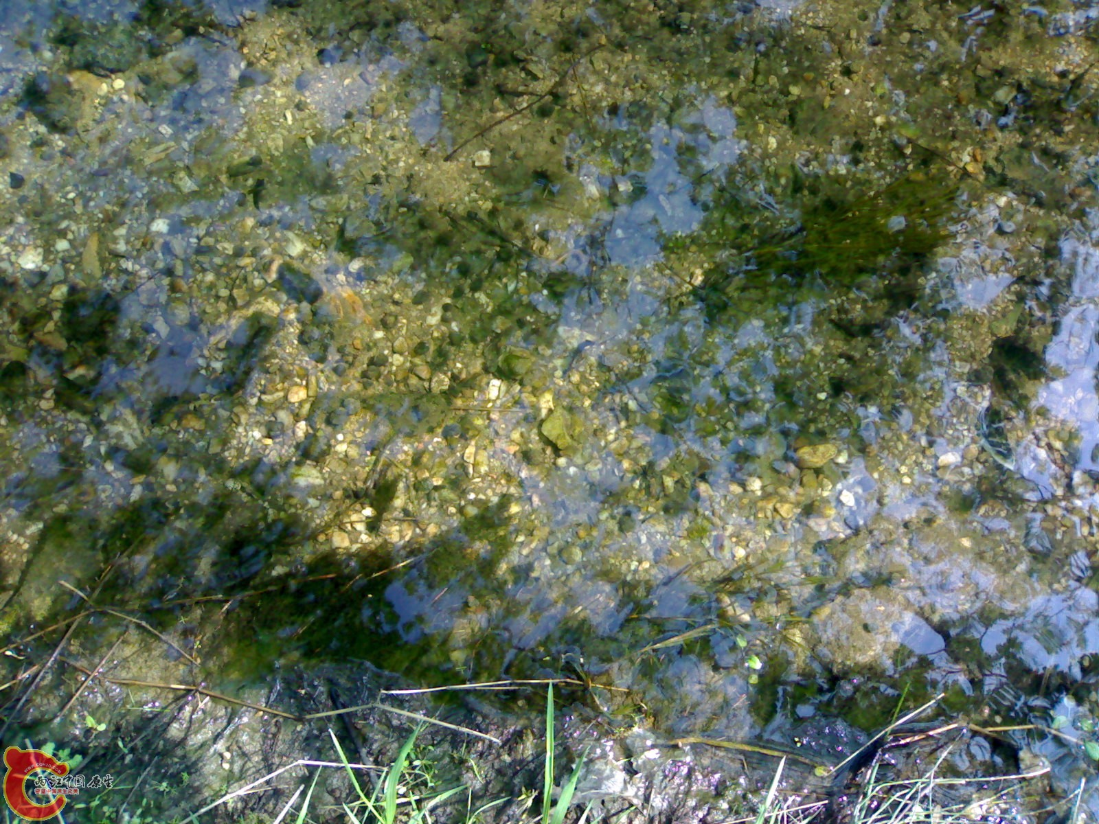 20100404182.jpg