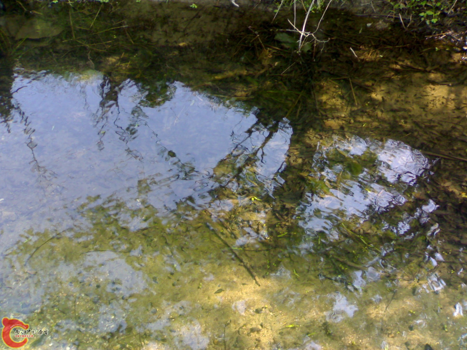 20100404183.jpg