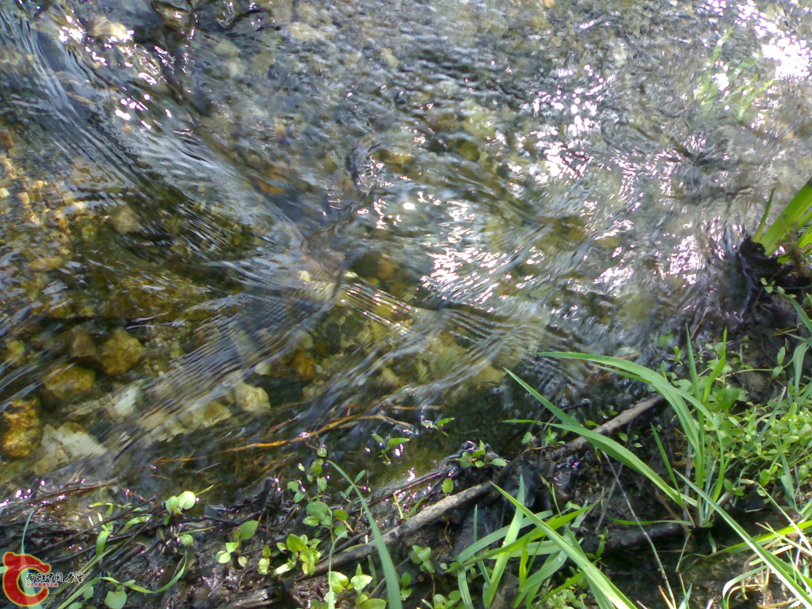 20100404188.jpg