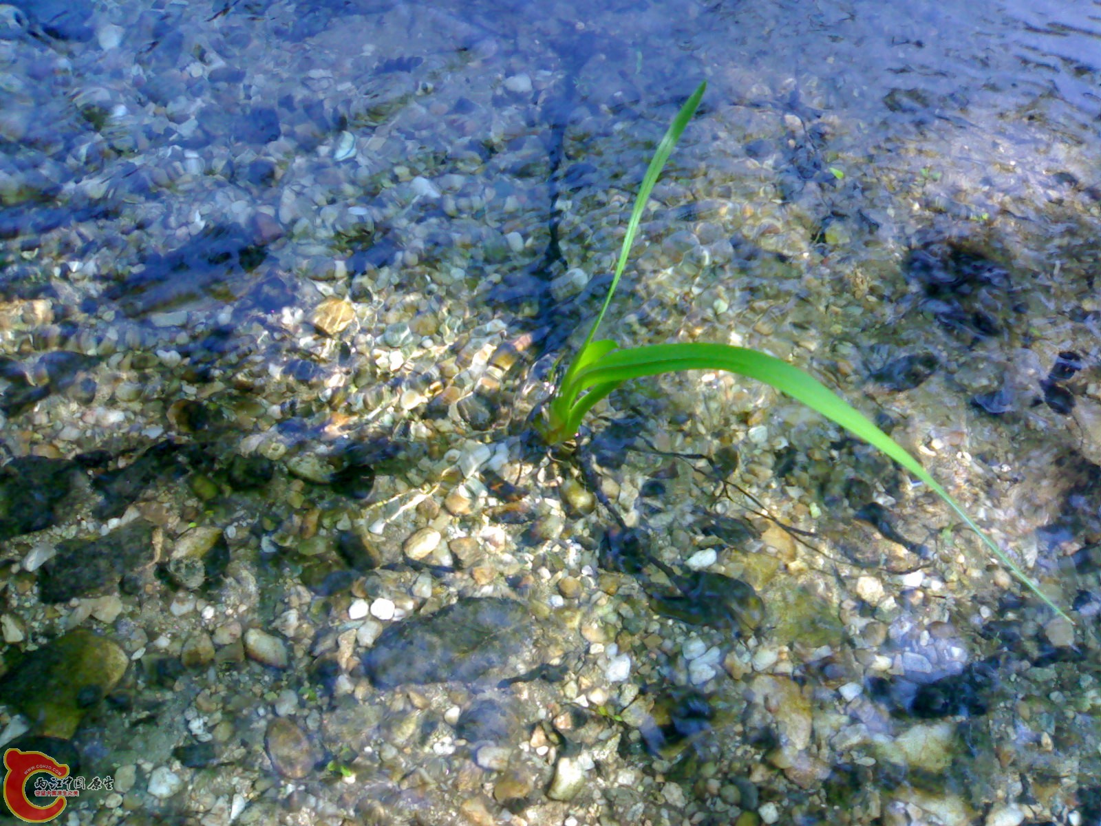 20100404185.jpg