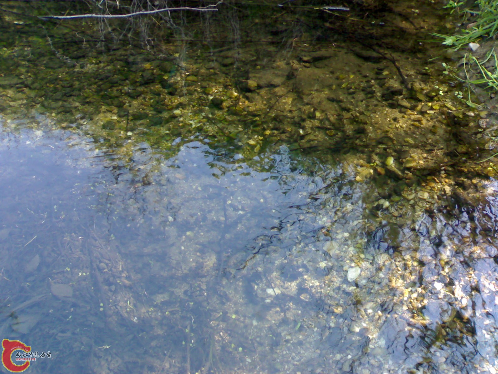 20100404187.jpg