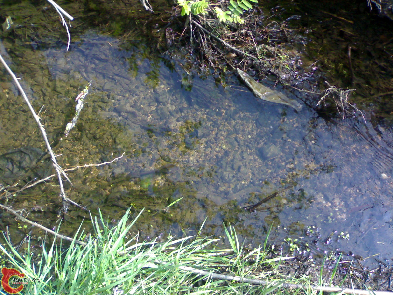 20100404191.jpg