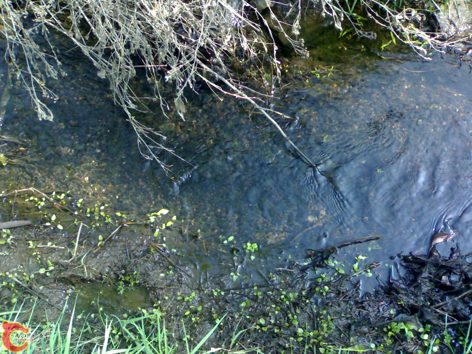 20100404190.jpg