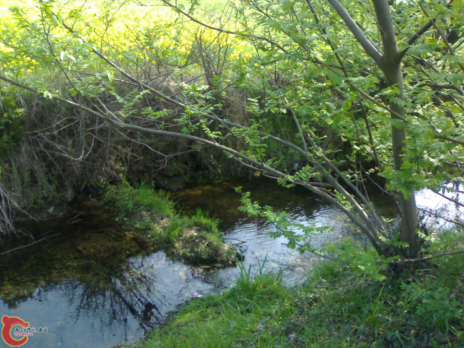 20100404193.jpg