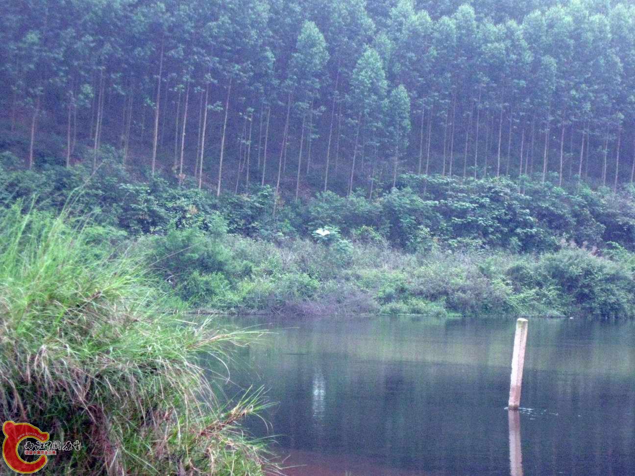 作案环境二突然飞出来来不急拍好...