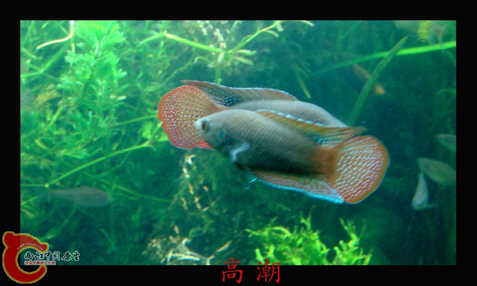 DSC01022.JPG