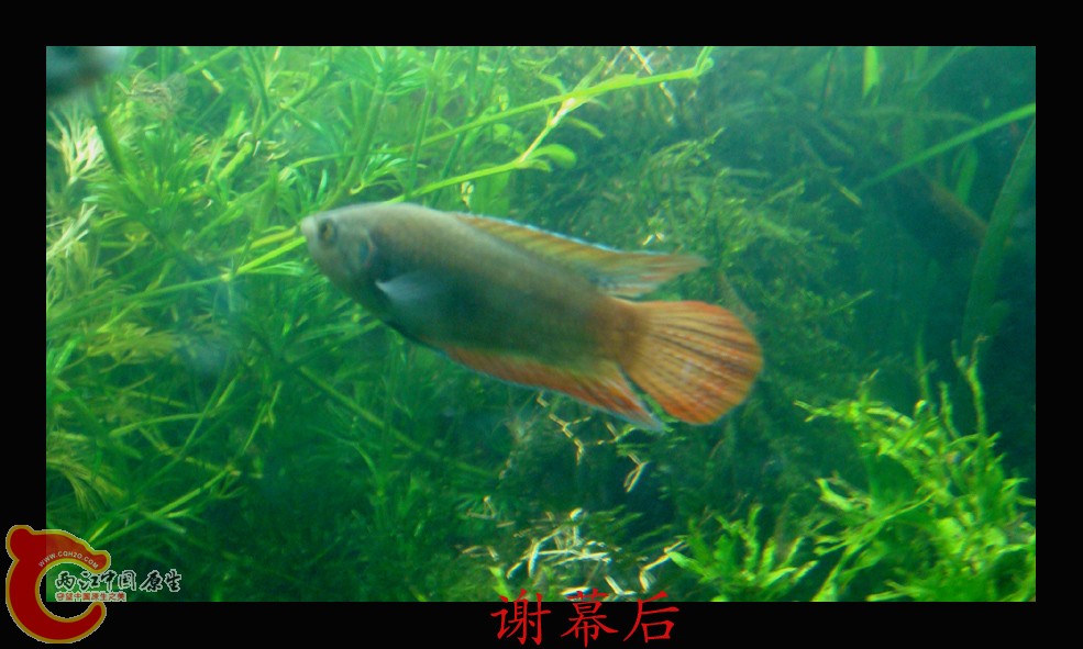 DSC01030.JPG