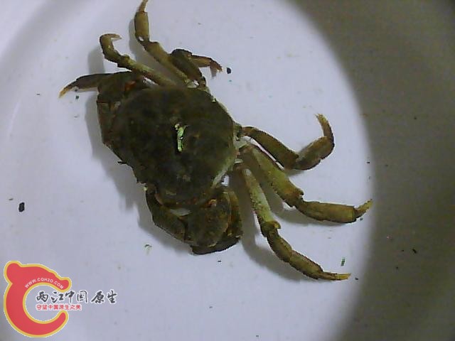 图片 014.jpg
