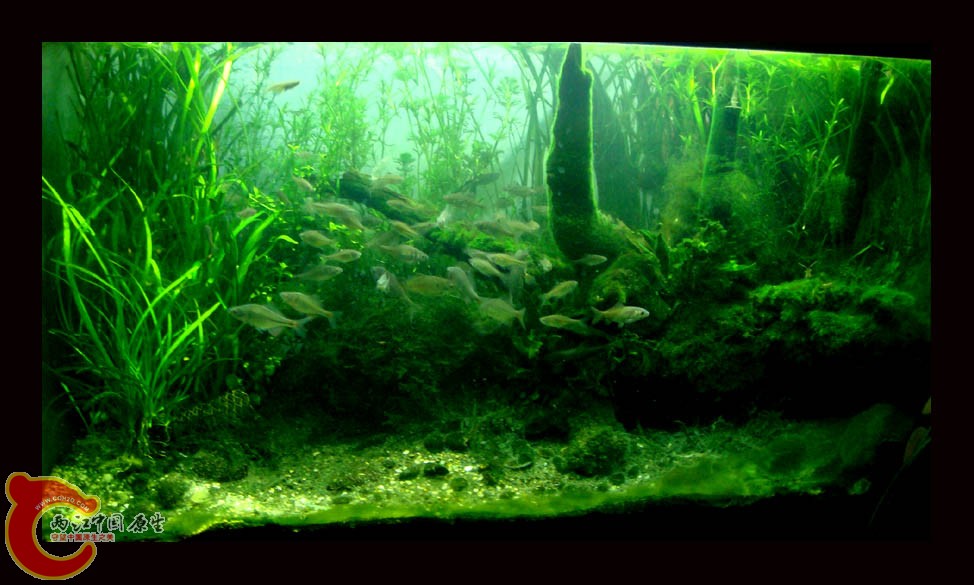 DSC00013.jpg DSC00013.jpg