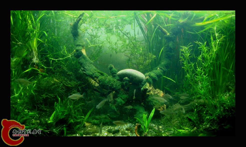 DSC00017.jpg DSC00017.jpg