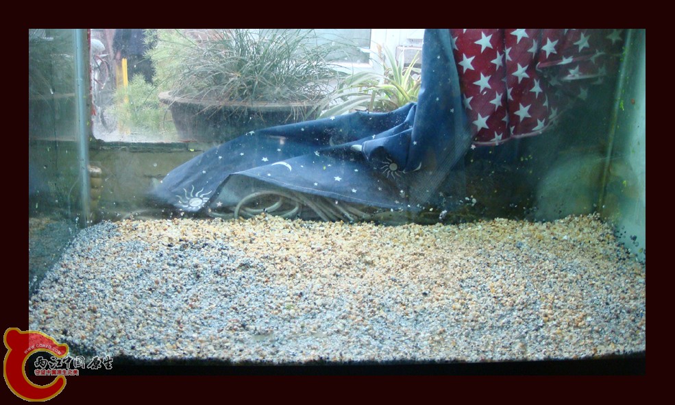 DSC01099.jpg DSC01099.jpg