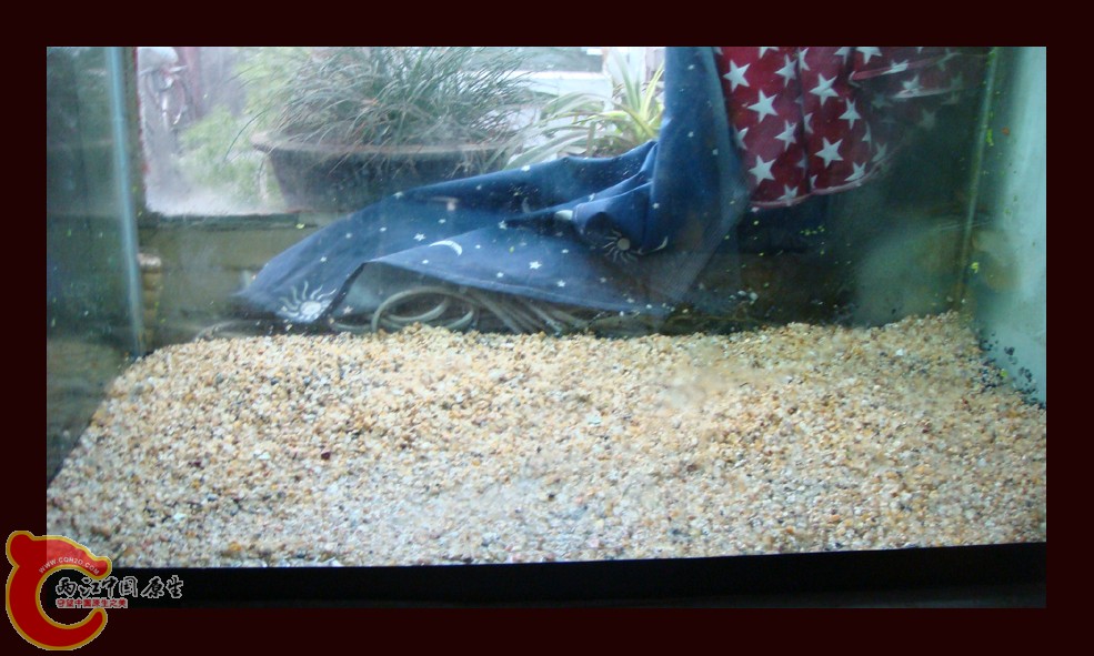 DSC01098.jpg DSC01098.jpg