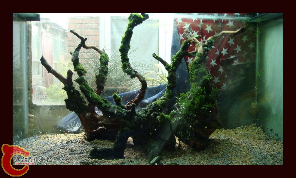 DSC01100.jpg DSC01100.jpg