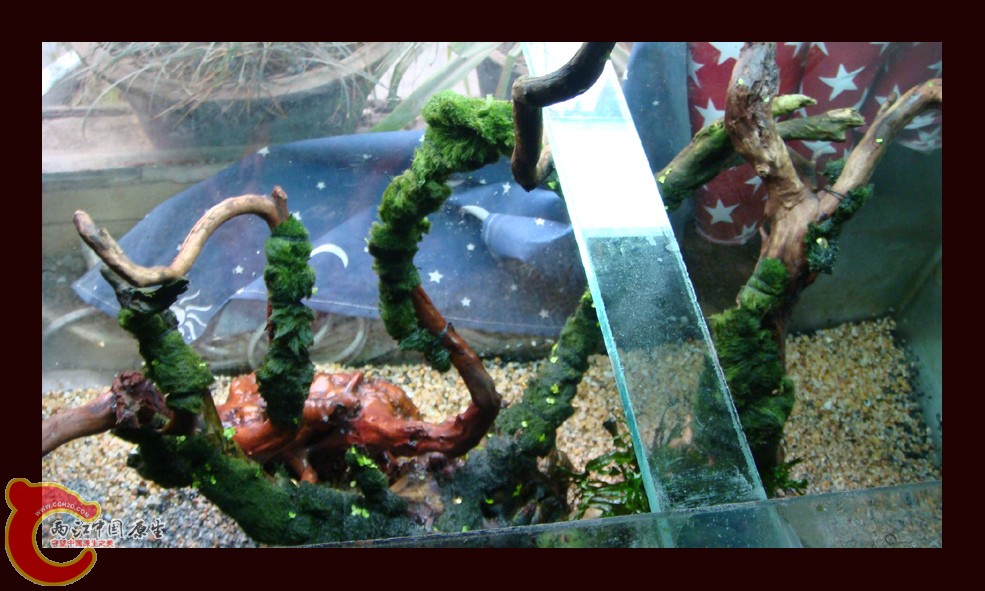 DSC01101.jpg DSC01101.jpg