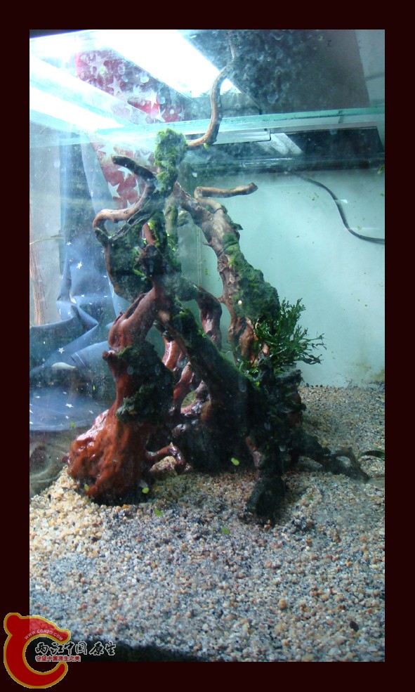 DSC01102.jpg DSC01102.jpg