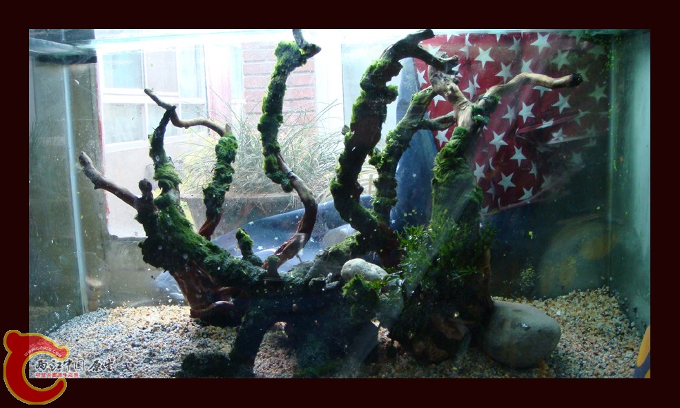 DSC01103.jpg DSC01103.jpg