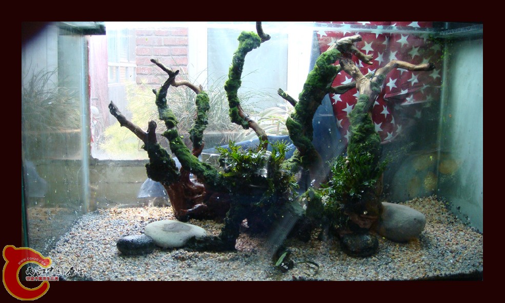 DSC01104.jpg DSC01104.jpg