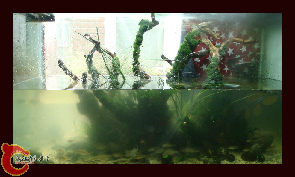 DSC01105.jpg DSC01105.jpg