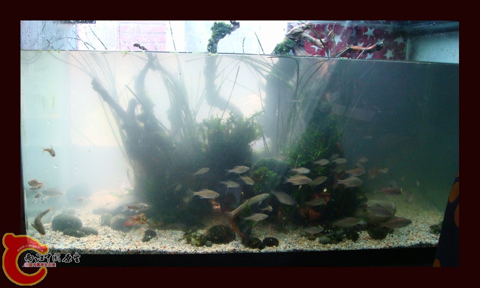 DSC01108.jpg DSC01108.jpg