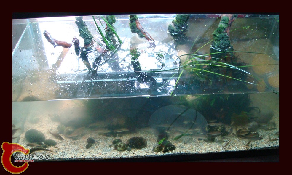 DSC01106.jpg DSC01106.jpg