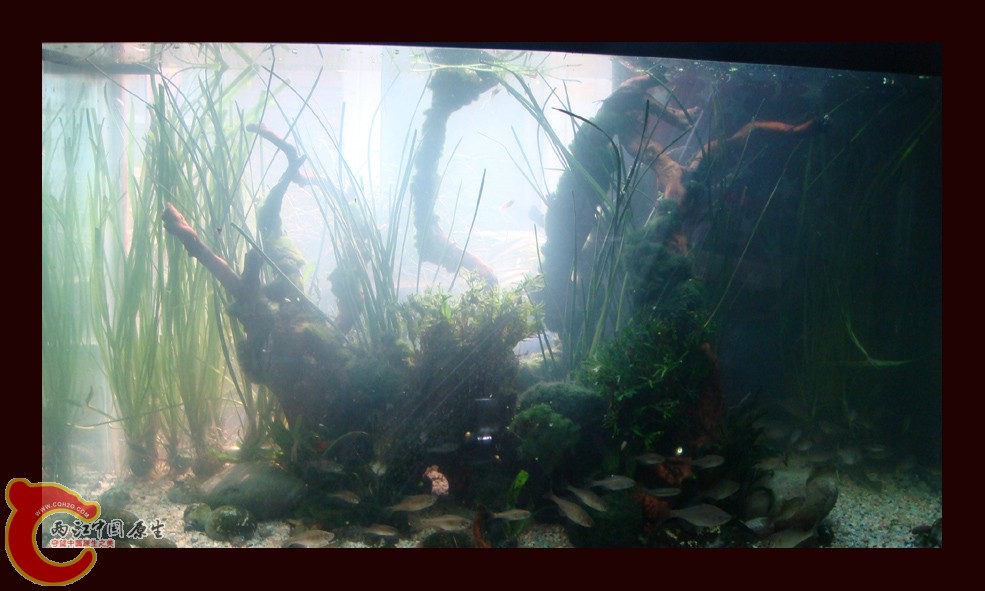 DSC01113.jpg DSC01113.jpg