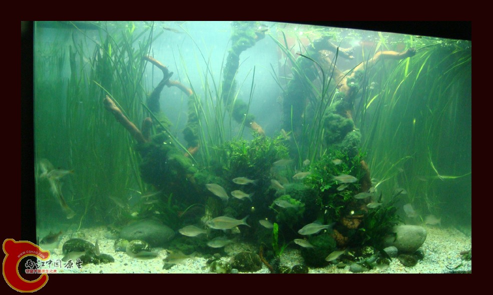 DSC01120.jpg DSC01120.jpg