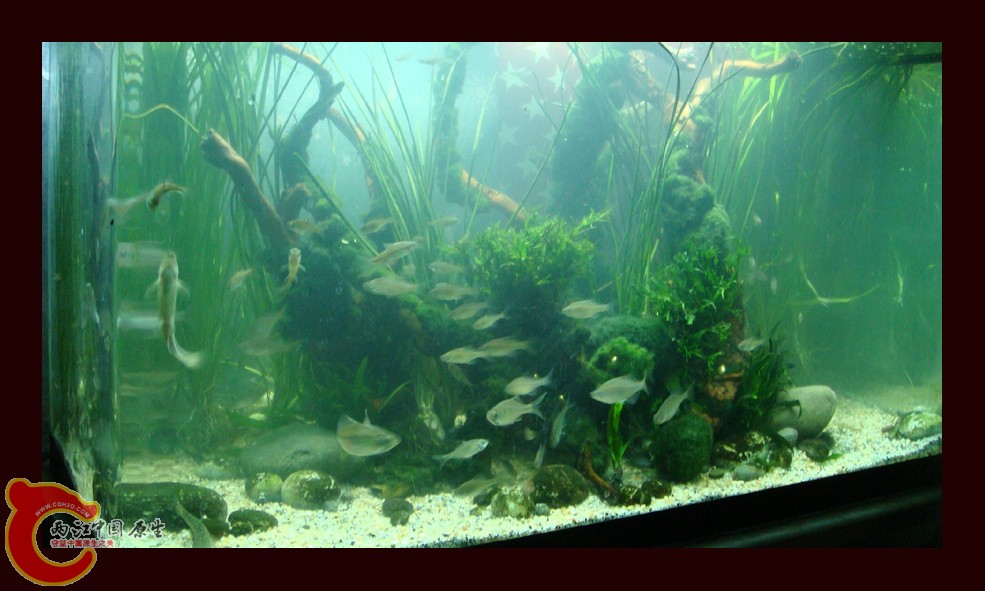 DSC01119.jpg DSC01119.jpg