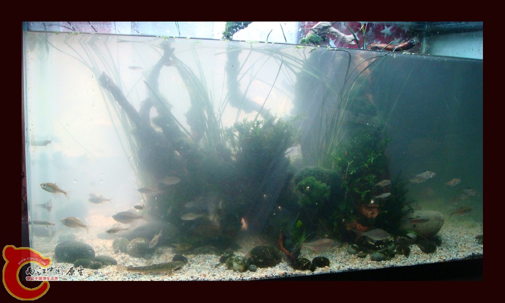 DSC01111.jpg DSC01111.jpg