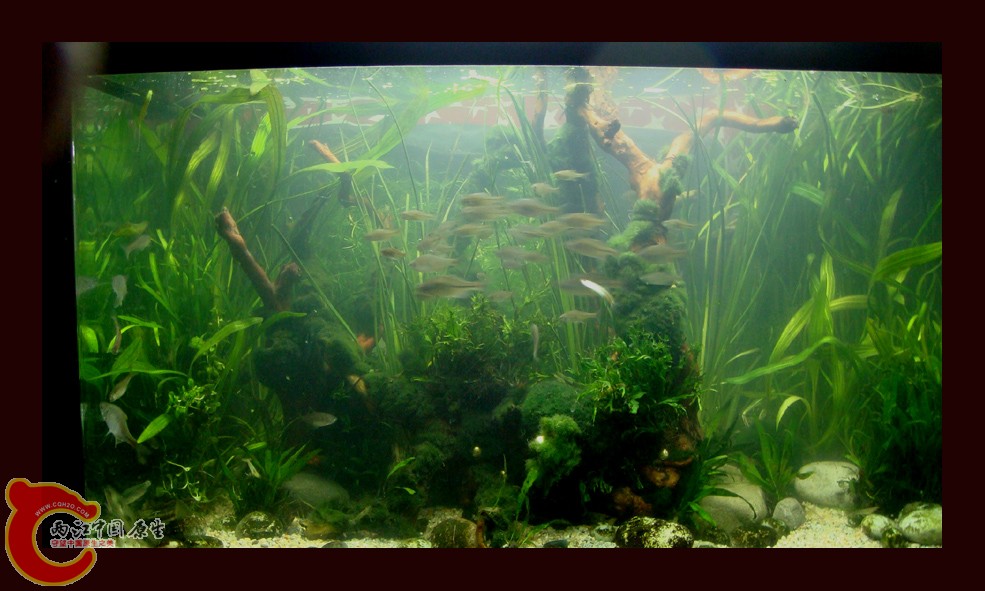 DSC01128.jpg DSC01128.jpg