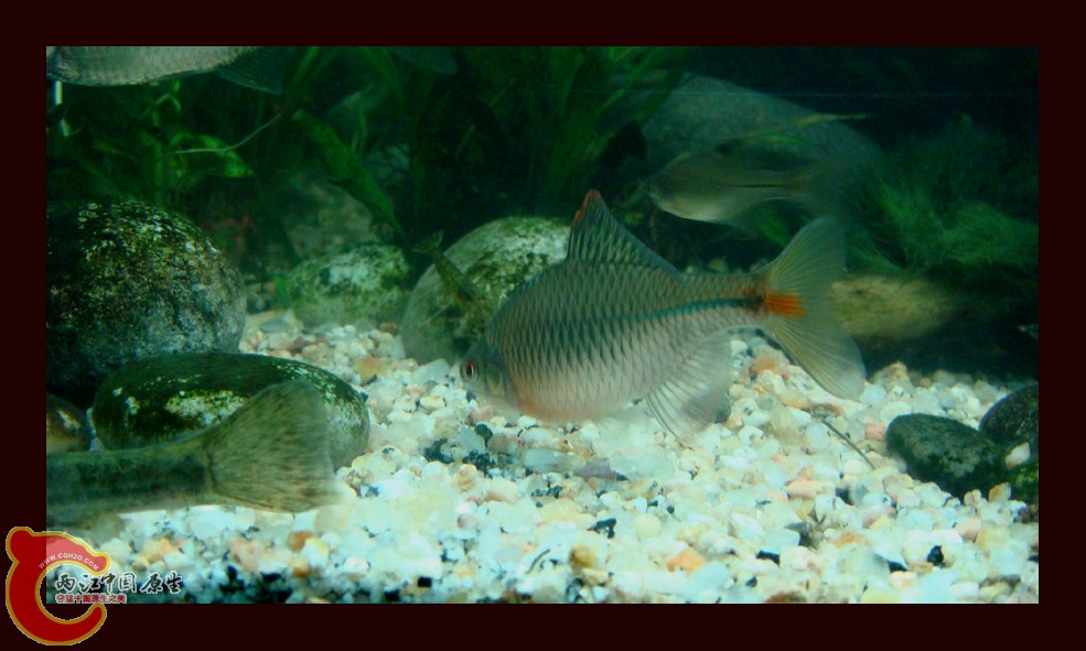 DSC01138.jpg DSC01138.jpg