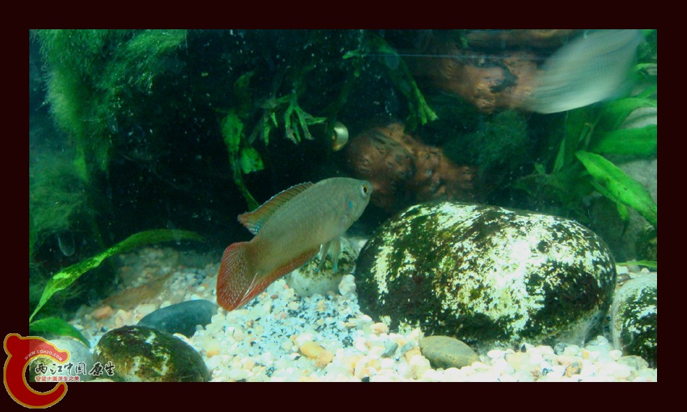 DSC01131.jpg DSC01131.jpg