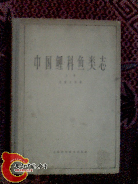 IMG0008B.jpg