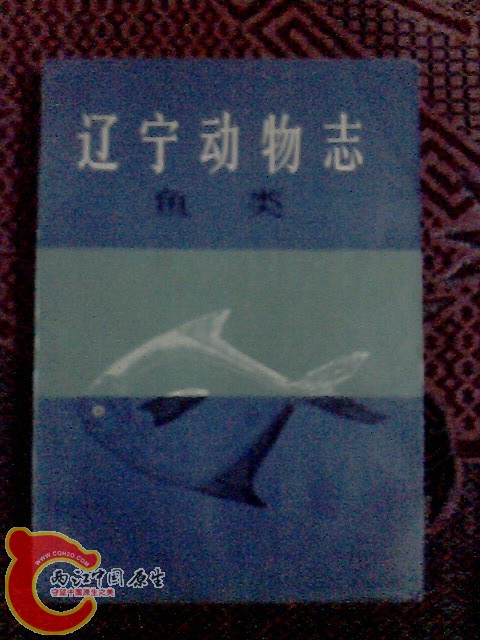 IMG0010A.jpg