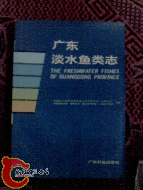 IMG0009A.jpg