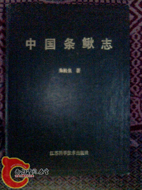 IMG0013A.jpg