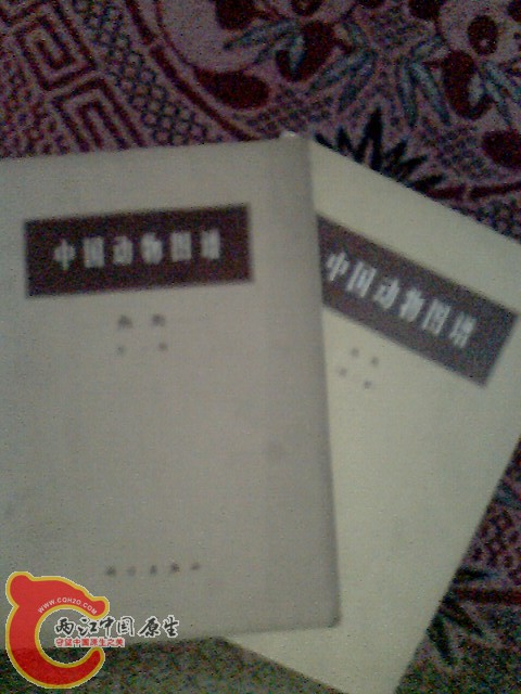 IMG0012A.jpg