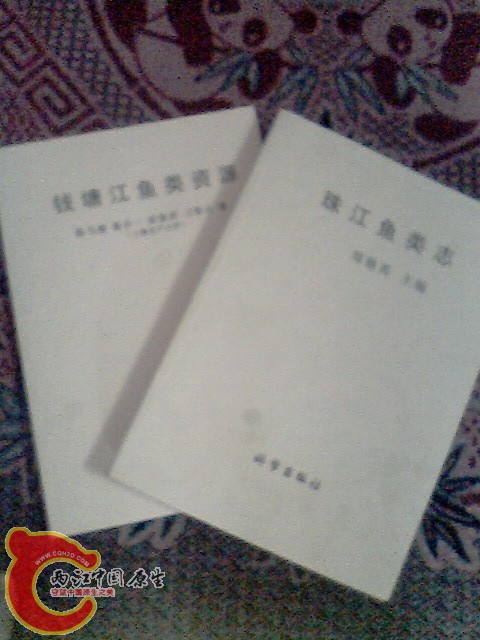 IMG0016A.jpg