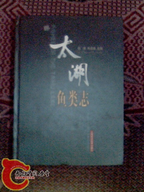IMG0017A.jpg