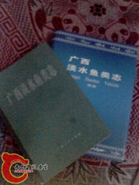 IMG0015A.jpg