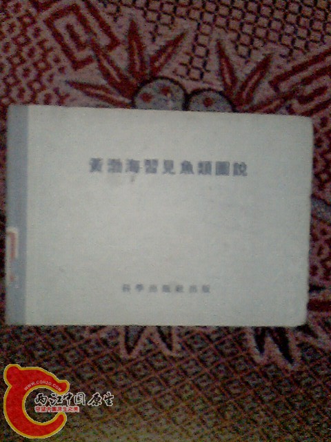 IMG0021A.jpg