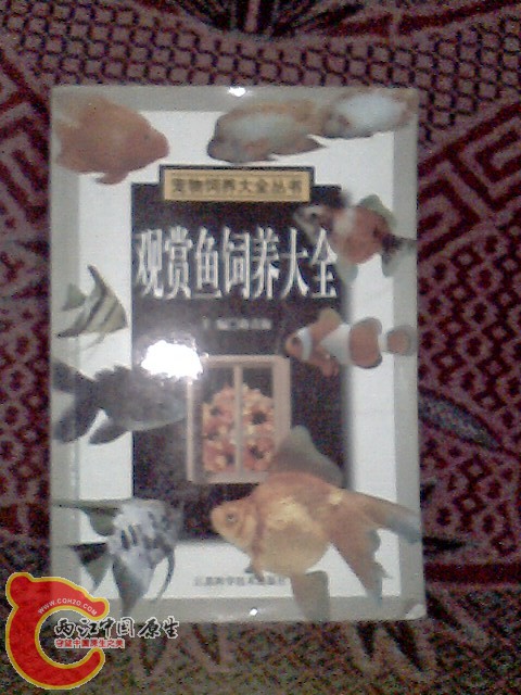 IMG0023A.jpg