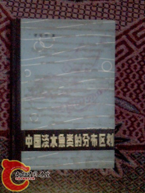 IMG0022A.jpg