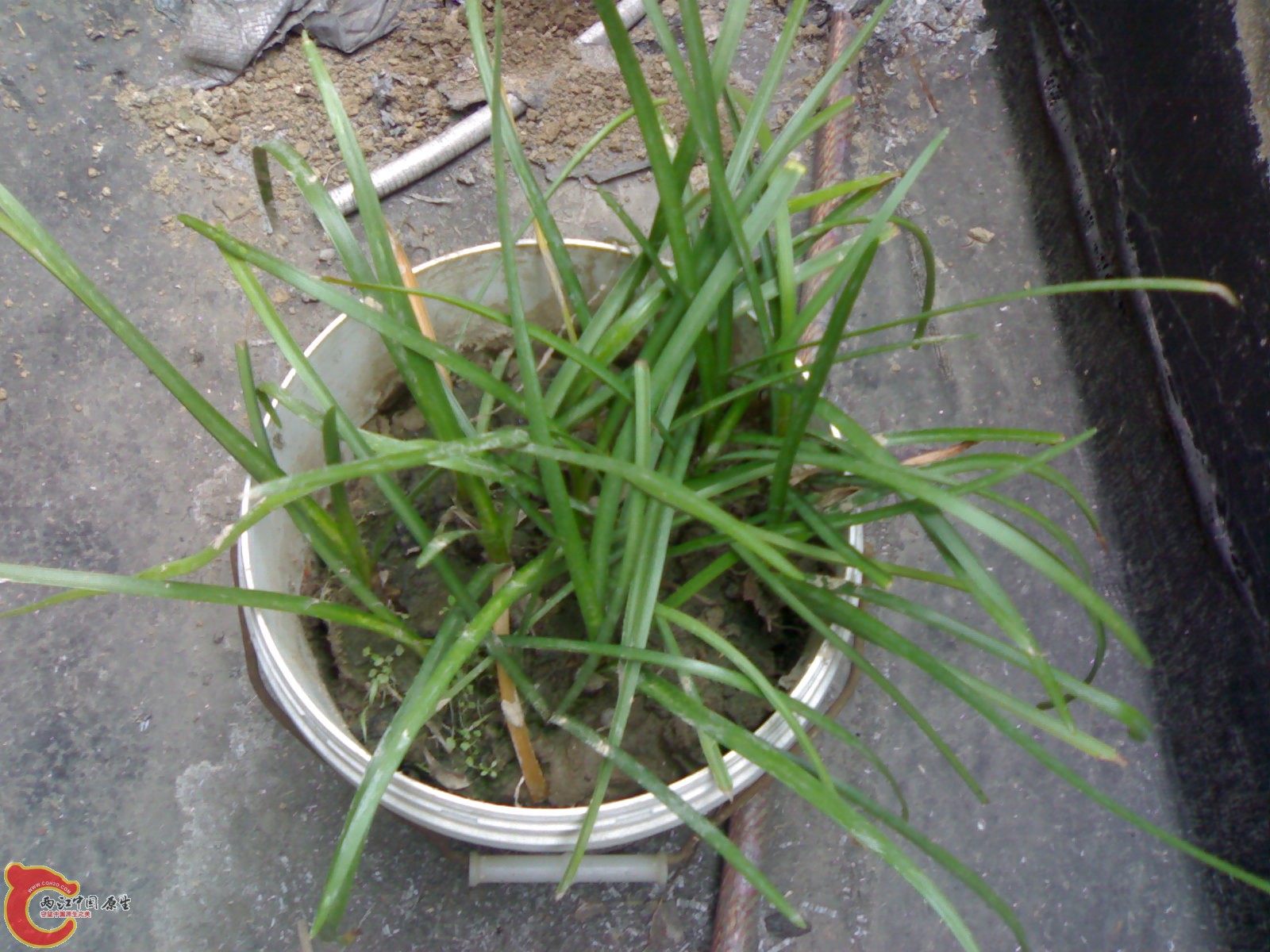 20100407260.jpg