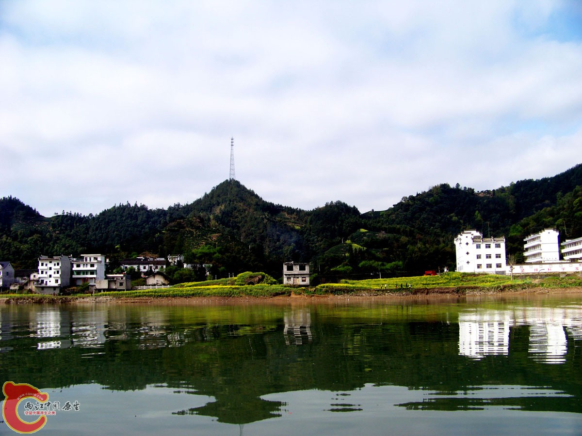 100_0379.jpg