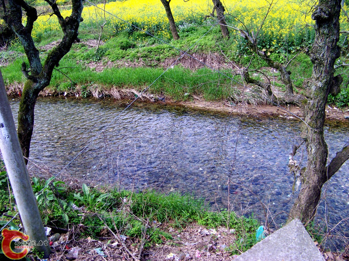 100_0403.jpg